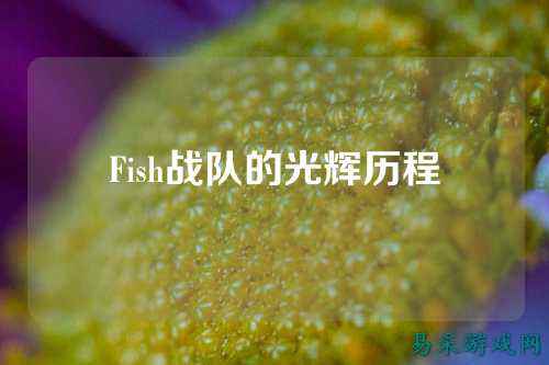 Fish战队的光辉历程