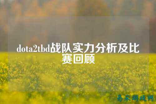 dota2tbd战队实力分析及比赛回顾