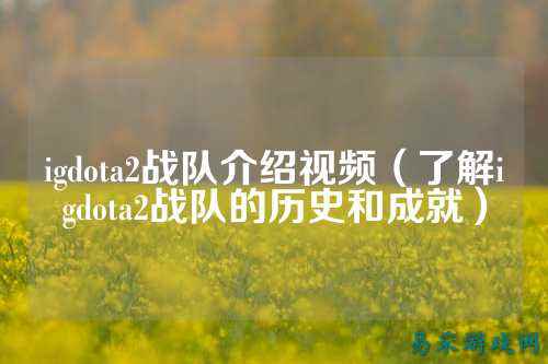 igdota2战队介绍视频（了解igdota2战队的历史和成就）