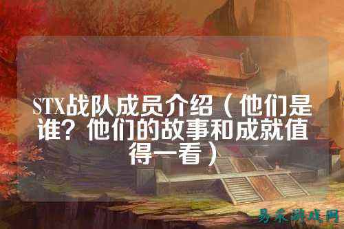 STX战队成员介绍（他们是谁？他们的故事和成就值得一看）