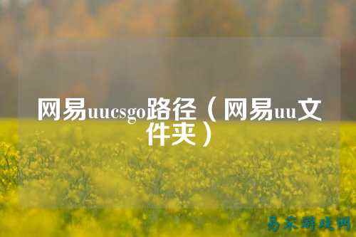 网易uucsgo路径（网易uu文件夹）