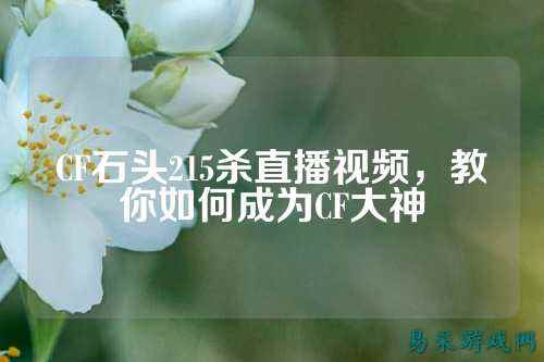 CF石头215杀直播视频,教你如何成为CF大神