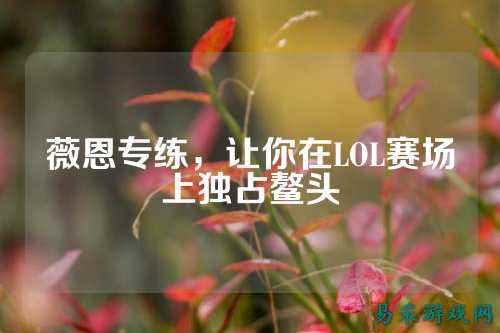 薇恩专练,让你在LOL赛场上独占鳌头