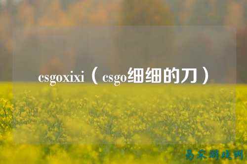 csgoxixi(csgo细细的刀)