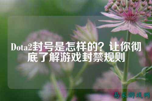 Dota2封号是怎样的?让你彻底了解游戏封禁规则