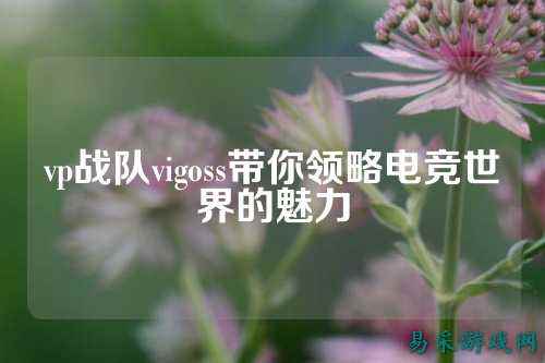 vp战队vigoss带你领略电竞世界的魅力