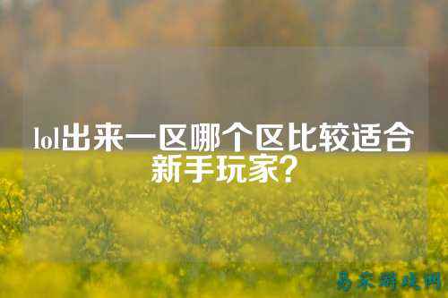 lol出来一区哪个区比较适合新手玩家？