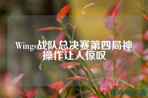 Wings战队总决赛第四局神操作让人惊叹