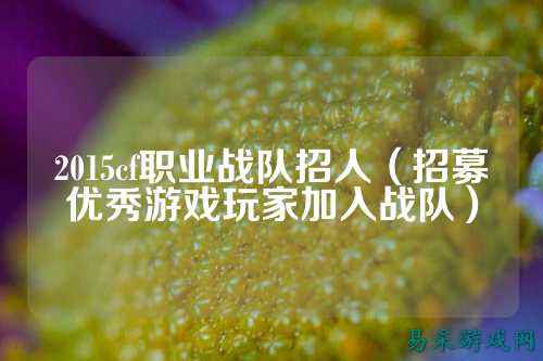 2015cf职业战队招人（招募优秀游戏玩家加入战队）