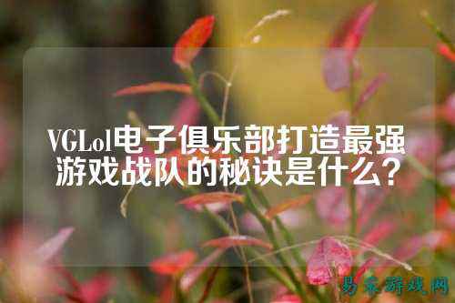 VGLol电子俱乐部打造最强游戏战队的秘诀是什么？