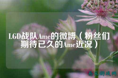 LGD战队Ame的微博（粉丝们期待已久的Ame近况）