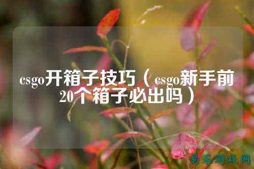 csgo开箱子技巧(csgo新手前20个箱子必出吗)
