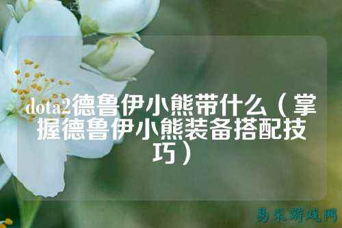 dota2德鲁伊小熊带什么(掌握德鲁伊小熊装备搭配技巧)