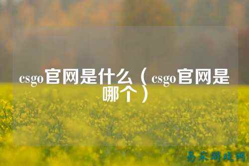 csgo官网是什么(csgo官网是哪个)