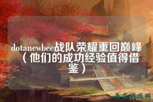 dotanewbee战队荣耀重回巅峰（他们的成功经验值得借鉴）