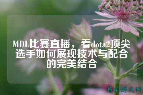 MDL比赛直播,看dota2顶尖选手如何展现技术与配合的完美结合
