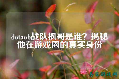 dotaob战队枫哥是谁？揭秘他在游戏圈的真实身份