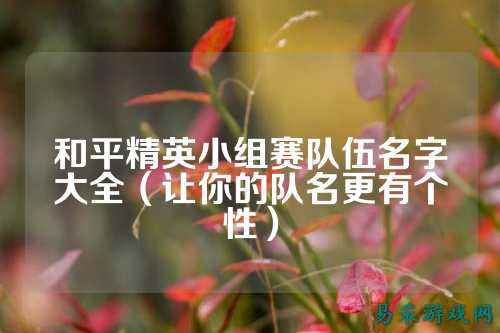 和平精英小组赛队伍名字大全(让你的队名更有个性)