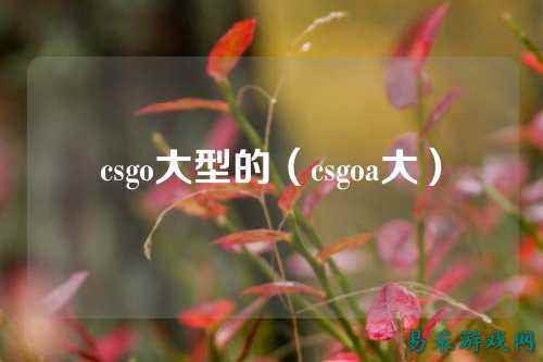 csgo大型的(csgoa大)