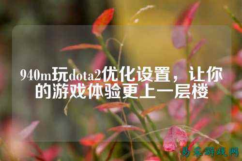 940m玩dota2优化设置,让你的游戏体验更上一层楼
