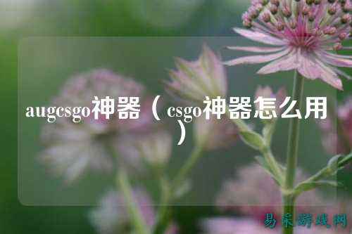 augcsgo神器（csgo神器怎么用）