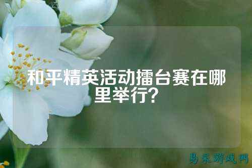 和平精英活动擂台赛在哪里举行？