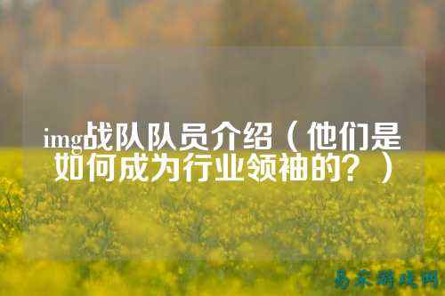 img战队队员介绍（他们是如何成为行业领袖的？）