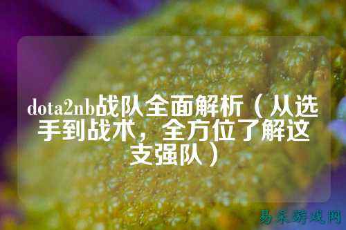 dota2nb战队全面解析（从选手到战术，全方位了解这支强队）