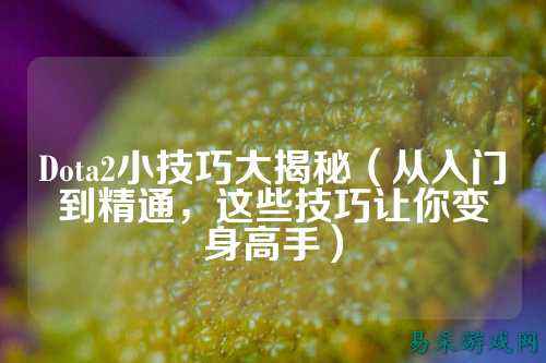 Dota2小技巧大揭秘(从入门到精通,这些技巧让你变身高手)