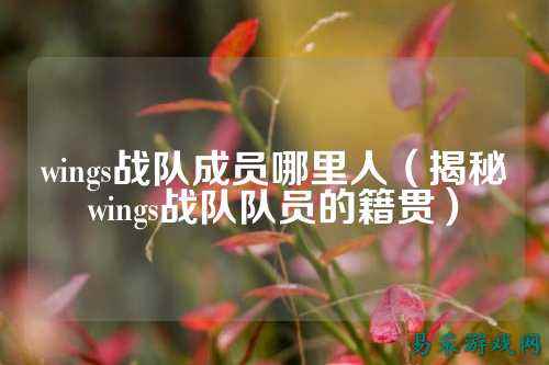 wings战队成员哪里人（揭秘wings战队队员的籍贯）