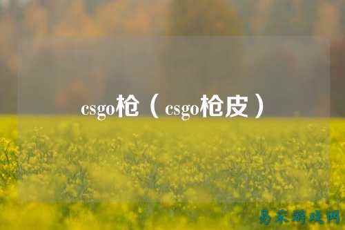 csgo枪(csgo枪皮)