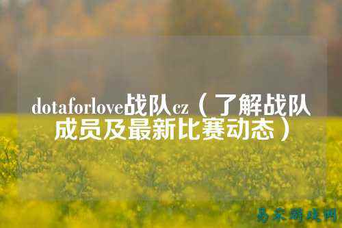 dotaforlove战队cz（了解战队成员及最新比赛动态）