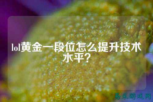 lol黄金一段位怎么提升技术水平?