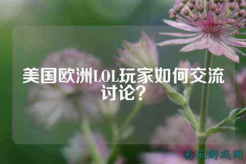 美国欧洲LOL玩家如何交流讨论?
