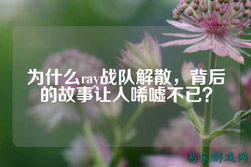 为什么ray战队解散，背后的故事让人唏嘘不已？