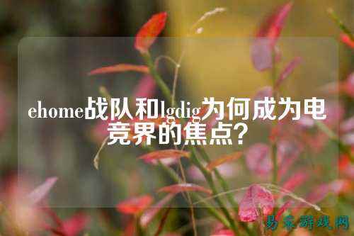 ehome战队和lgdig为何成为电竞界的焦点？