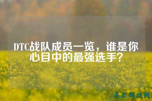 DTC战队成员一览，谁是你心目中的最强选手？