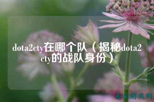dota2cty在哪个队(揭秘dota2cty的战队身份)