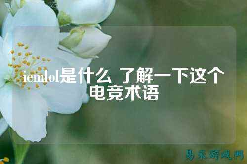 iemlol是什么 了解一下这个电竞术语