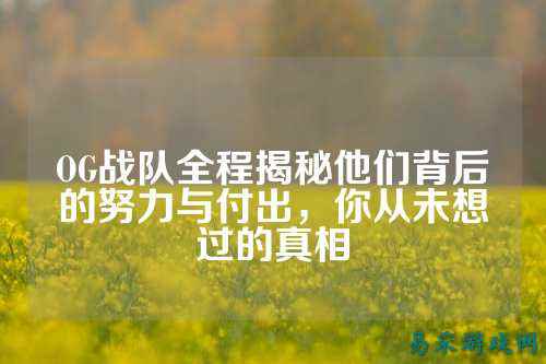 OG战队全程揭秘他们背后的努力与付出，你从未想过的真相
