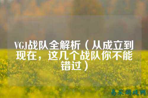 VGJ战队全解析（从成立到现在，这几个战队你不能错过）