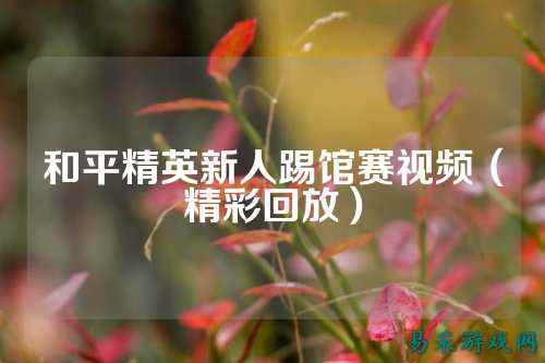 和平精英新人踢馆赛视频(精彩回放)
