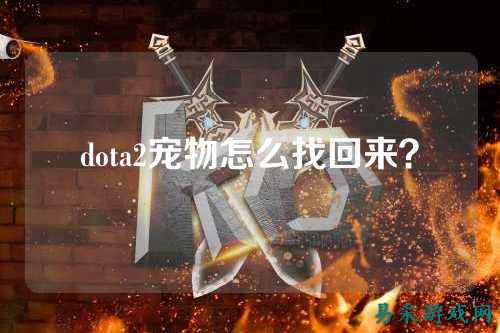 dota2宠物怎么找回来?