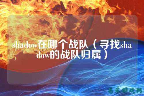 shadow在哪个战队（寻找shadow的战队归属）