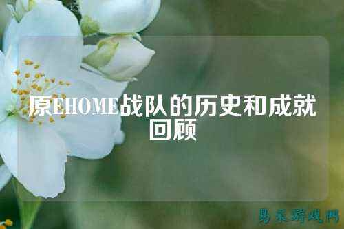 原EHOME战队的历史和成就回顾