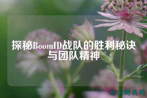 探秘BoomID战队的胜利秘诀与团队精神
