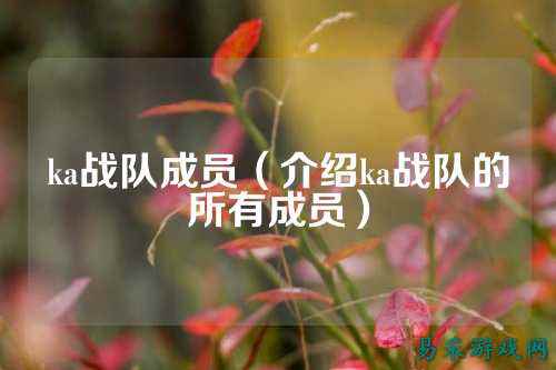 ka战队成员（介绍ka战队的所有成员）