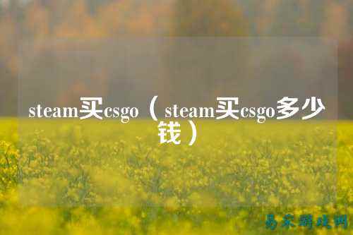steam买csgo（steam买csgo多少钱）
