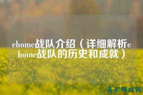 ehome战队介绍（详细解析ehome战队的历史和成就）