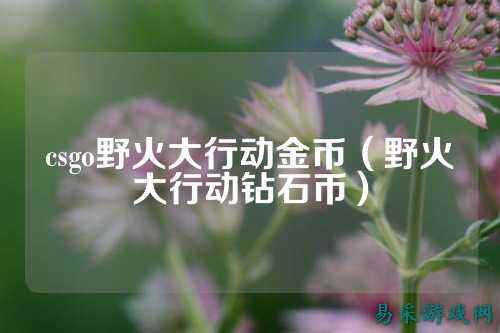 csgo野火大行动金币（野火大行动钻石币）